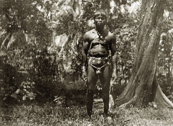 Portrait of a Jarawa man. Portrait of a Jarawa man, naked apart from a decorative belt and chest straps, taken against a forest backdrop. Andaman Islands, India, circa 1900., Andaman and Nicobar Islands, India, Southern Asia, Asia.