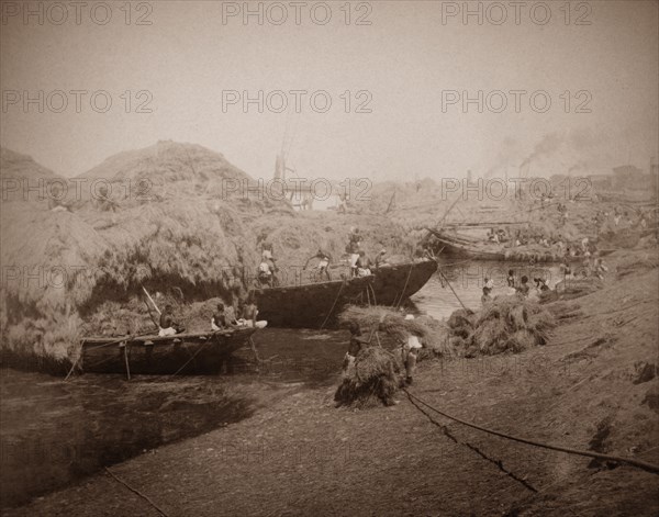 Loading barges at the Hooghly River. Workers load barges with what appears to be either straw or reeds, at a harbour located on the banks of the Hooghly River. Calcutta (Kolkata), India, circa 1890. Kolkata, West Bengal, India, Southern Asia, Asia.