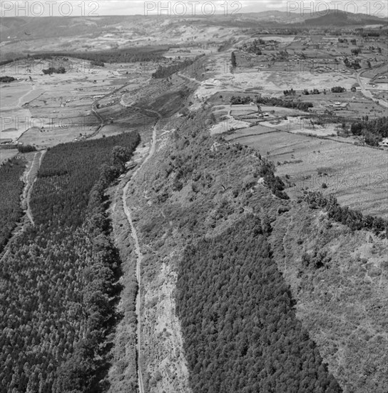 Kikuyu Reserve from the air. Aerial view taken from a Kenya Police Reserve (KPR) aircraft showing a densely wooded escarpment in the Kikuyu Reserve. Rift Valley, Kenya, 30 October 1952., Rift Valley, Kenya, Eastern Africa, Africa.