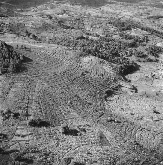 Kikuyu Reserve from the air. Aerial view taken from a Kenya Police Reserve (KPR) aircraft showing cultivated agricultural land in the Kikuyu Reserve. Rift Valley, Kenya, 30 October 1952., Rift Valley, Kenya, Eastern Africa, Africa.