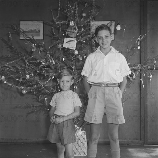 Christmas at Dusty Miller's house. Dusty Miller's two sons pose in front of a sparse Christmas tree covered with twinkling decorations. Kenya, 28 December 1952. Kenya, Eastern Africa, Africa.