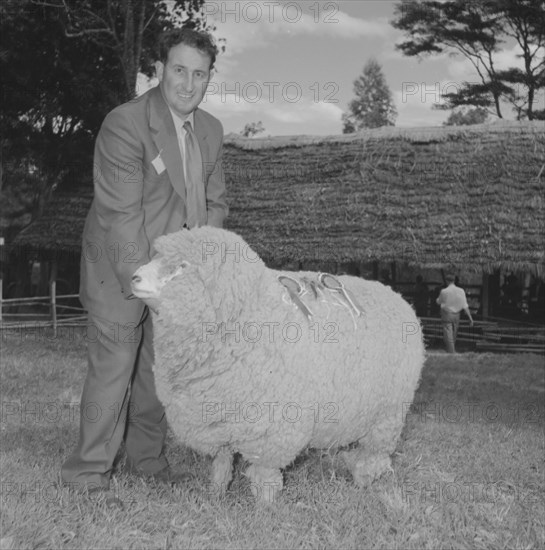 Prize-winning sheep. A man smiles for the camera as he poses with a prize-winning sheep, adorned with rosettes, at the Royal Show. Kenya, 25 September 1957. Kenya, Eastern Africa, Africa.