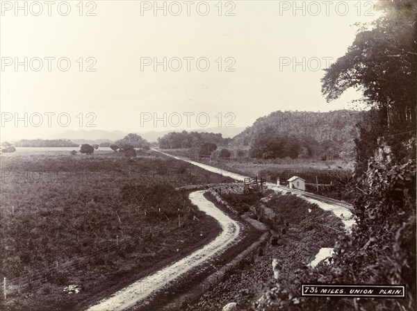 Railway track across Union Plain. A railway track stretches into the distance through cultivated fields on Union Plain. Jamaica, circa 1895. Jamaica, Caribbean, North America .