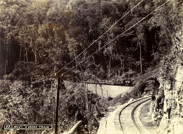 A 'work train', Jamaica. A steam train transports freight cars loaded with male workers to a railway construction site in the mountains. Jamaica, circa 1895. Jamaica, Caribbean, North America .