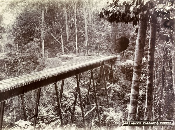 Railway viaduct and tunnel. A railway track runs across a narrow trestle bridge into a mountainside tunnel. Jamaica, circa 1895. Jamaica, Caribbean, North America .