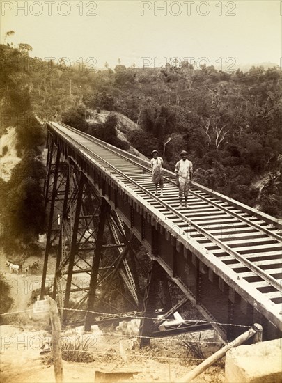 Railway viaduct, Jamaica. Two men stand barefoot on a newly completed trestle bridge built across a steep valley. The bridge was one of several viaducts constructed to carry new railway lines. Jamaica, circa 1895. Jamaica, Caribbean, North America .