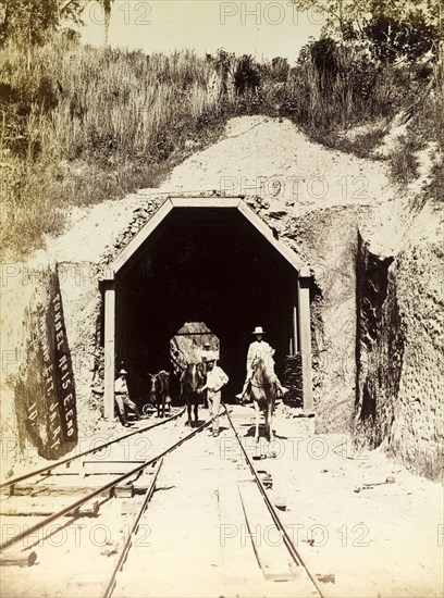 Horses at tunnel 'No. 15'. A group of men lead horses across newly laid railway tracks beneath tunnel 'No. 15'. Opening in 1896, this stretch of track would later comprise part of the Port Antonio extension line. Portland, Jamaica, circa 1895., Portland, Jamaica, Caribbean, North America .