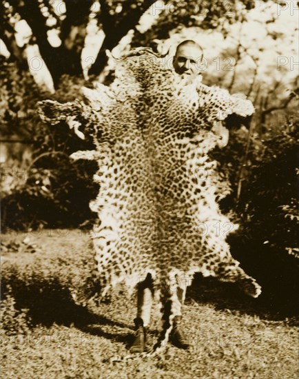 Panther skin, Bangladesh. A British man poses proudly for the camera holding an outstretched panther skin. Kumarpur, Bengal, India (Barisal, Bangladesh), circa 1940. Kumarpur, Barisal, Bangladesh, Southern Asia, Asia.