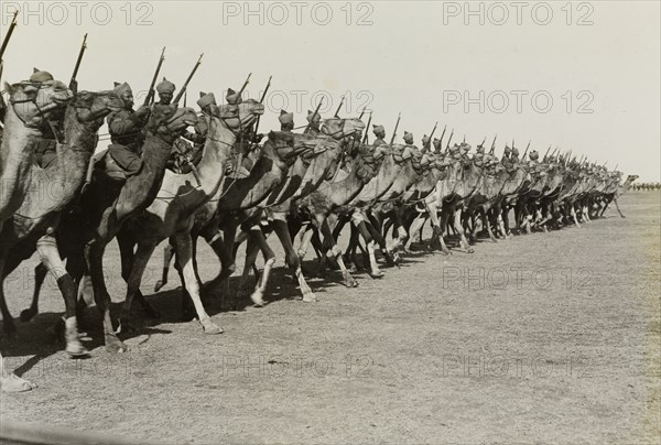 Camel parade at Delhi. March past of an armed camel corps at the Coronation Durbar, held in honour of King George V, Emperor of India. Delhi, India, 13 December 1911. Delhi, Delhi, India, Southern Asia, Asia.