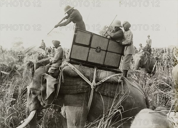 King George V finishes off a wounded tiger. King George V (r.1910-36) finishes off a wounded and dangerous tiger, taking aim at the animal with his rifle from the back of an elephant. The King travelled to Nepal to hunt in Chitwan Valley following his Coronation Durbar in Delhi. Narayani, Nepal, 18 December 1911., Narayani, Nepal, Southern Asia, Asia.