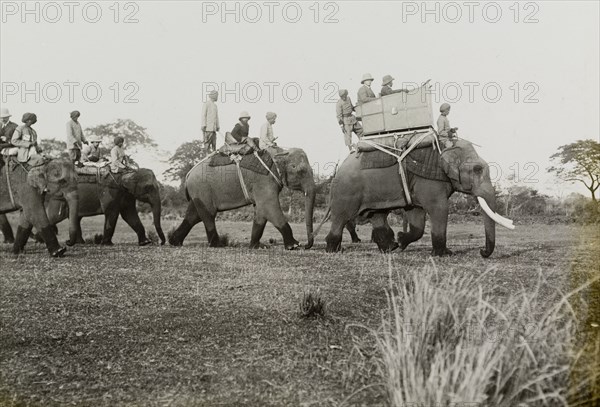 King George V leads the way. A royal hunting party, led by King George V (r.1910-36), rides through Chitwan Valley on elephants. The King is followed by his host, Chandra Shamsher Jang, the Maharajah of Nepal. Narayani, Nepal, 18 December 1911., Narayani, Nepal, Southern Asia, Asia.