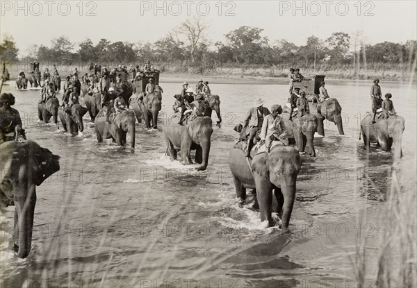 Crossing the river on elephants. A royal hunting party, hosted by the Maharajah of Nepal for King George V, crosses a river on elephants in Chitwan Valley. Narayani, Nepal, circa 18 December 1911., Narayani, Nepal, Southern Asia, Asia.