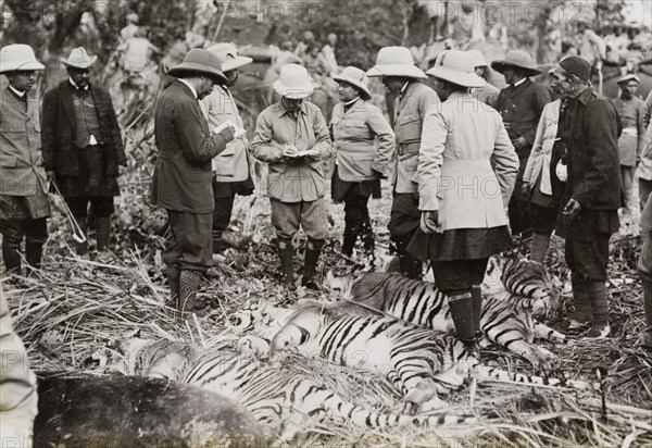 King George V takes notes. King George V (r.1910-36) notes the details of four tigers and a rare Himalayan bear that he has shot during a royal hunt in Chitwan Valley. Narayani, Nepal, 21 December 1911., Narayani, Nepal, Southern Asia, Asia.