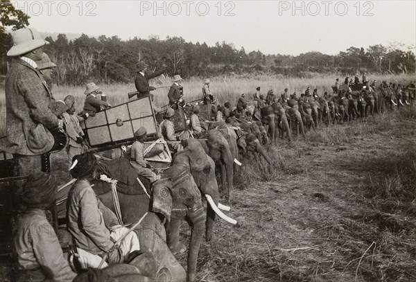 Portion of the ring'. A royal hunting party in Chitwan Valley, hosted by the Maharajah of Nepal for King George V (r.1910-36), draws its elephants into a ring. The King stands, rifle in hand, pointing instructions from his elephant's howdah. Narayani, Nepal, circa 18 December 1911., Narayani, Nepal, Southern Asia, Asia.