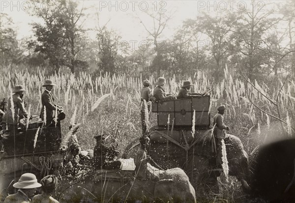 A royal hunt in the evening sunlight. King George V (r.1910-36) and his royal hunting party trek through the jungle on elephants in the early evening sunlight. The King travelled to Nepal to hunt in Chitwan Valley following his Coronation Durbar in Delhi. Narayani, Nepal, circa 20 December 1911., Narayani, Nepal, Southern Asia, Asia.