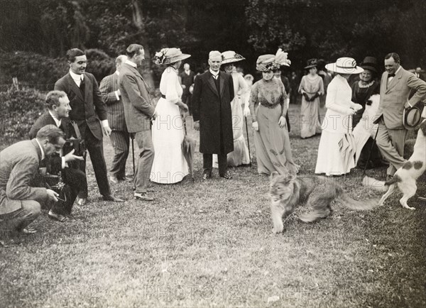 Lion cub at a royal garden party, Bloemfontein. Formally dressed guests are entertained by the release of a captive lion cub during a garden party held in honour of the Duke and Duchess of Connaught. This was one of several stops made by the royal couple following their official visit to Cape Town to open the new Union Parliament. Bloemfontein, Orange Free State (Free State), South Africa, 9 November 1910. Bloemfontein, Free State, South Africa, Southern Africa, Africa.