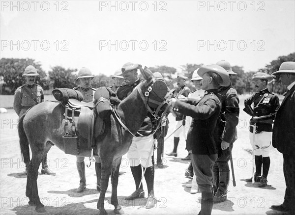 A donkey for the Duke of Connaught. Uniformed military personnel prepare a saddled donkey for the Duke of Connaught to ride. This was one of several stops made by the Duke following his official visit to Cape Town to open the new Union Parliament. Livingstone, Northern Rhodesia (Zambia), 12-15 November 1910. Livingstone, South (Zambia), Zambia, Southern Africa, Africa.