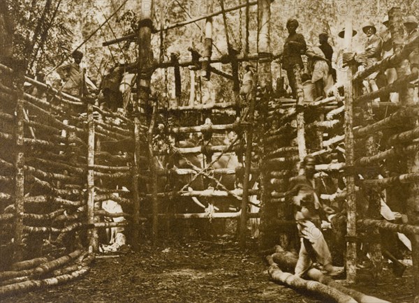 The stockade gate. The gate to a fortified stockade, built to contain a herd of wild elephants captured during a hunt led by the Maharajah of Mysore in the Kakankota Forests. Karnataka, India, 1909., Karnataka, India, Southern Asia, Asia.