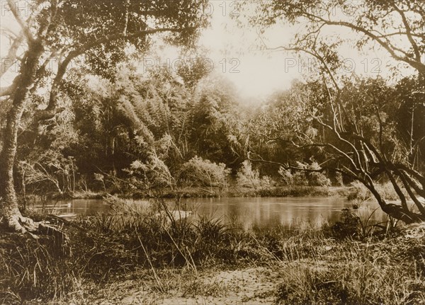 Point of attempted escape. The crossing point in the Kabani River where a wild herd of elephants, captured in the Kakankota Forests by the Maharajah of Mysore's hunting party, attempted a last, but unsuccessful, break for freedom. Karnataka, India, 1909., Karnataka, India, Southern Asia, Asia.