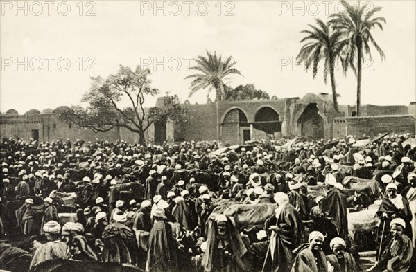 Market at Giza. A throng of people crowd an open air market at Giza. Giza, Egypt, circa 1900. Giza, Giza, Egypt, Northern Africa, Africa.