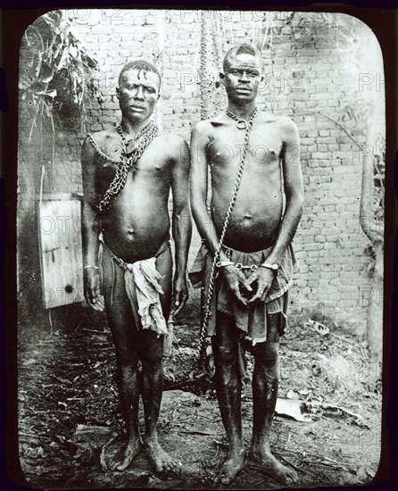 Congolese chain gang slaves. Portrait of two mannacled men, members of a chain gang enslaved under King Leopold II's terror regime. This was a common punishment for non-payment of taxes. Congo Free State (Democratic Republic of Congo), circa 1904. Congo, Democratic Republic of, Central Africa, Africa.