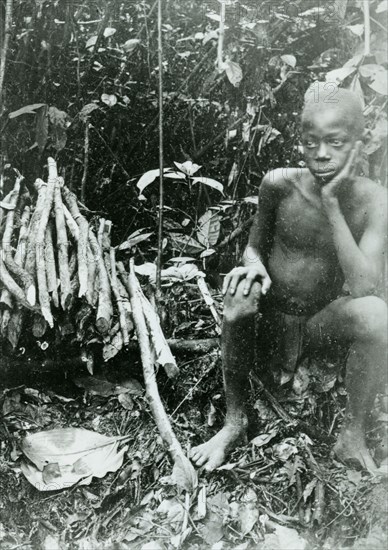 Boy collecting rubber. A young slave collects rubber vines for the Anglo-Belgian India Rubber company (ABIR). Congo Free State (Democratic Republic of Congo), circa 1905. Congo, Democratic Republic of, Central Africa, Africa.