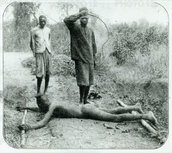 Flogging with a 'chicotte'. A mercenary working for King Leopold II's government, flogs a naked Congolese man, tied face down on the ground, with a 'chicotte'. Congo Free State (Democratic Republic of Congo), circa 1905. Congo, Democratic Republic of, Central Africa, Africa.