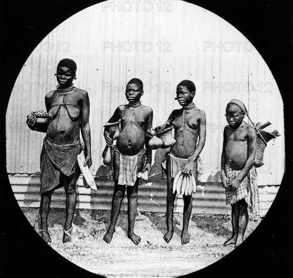 Four African women. Group portrait of four semi-naked women, each carrying a basket filled with items of food and firewood. Several of the women display traditional scarification marks on their bellies. Probably Congo Free State (Democratic Republic of Congo), circa 1905. Congo, Democratic Republic of, Central Africa, Africa.