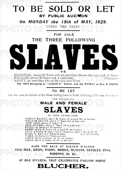US slave sale poster. Poster advertising the public auction of 14 slaves. United States of America, circa 1829. United States of America, North America, North America .