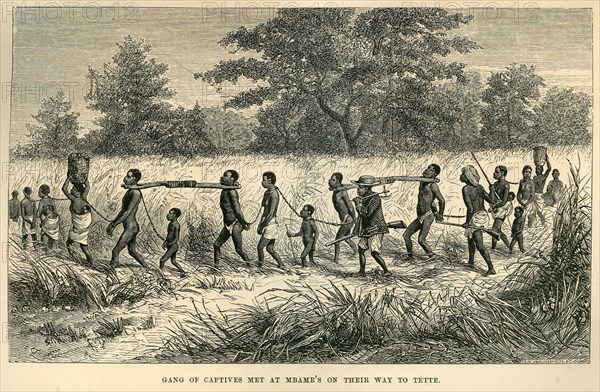 An African slave caravan. A book illustration depicts a caravan of African slaves, tethered together in pairs by wooden yokes and chains around their necks. An original caption suggests the gang is being marched to Tete, a town located on the Zambezi River. Mozambique, circa 1865. Mozambique, Southern Africa, Africa.