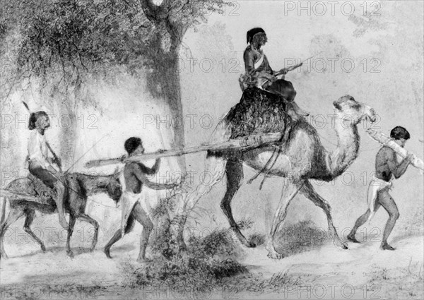 African slaves. Two yoked slaves are accompanied by guards riding a camel and a donkey. Northern Africa, circa 1900., Northern Africa, Africa.