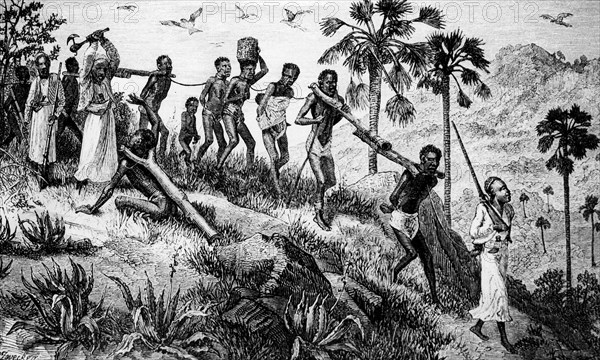 Slavers avenging their losses'. A caravan of African slaves file past a guard who raises his axe to murder one of the weaker captives. The gang are tethered together in pairs by wooden yokes fitted around their necks. Central Africa, circa 1875., Central Africa, Africa.