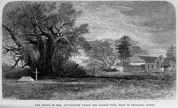Mary Livingstone's grave. A book illustration depicts the simple tombstone that marks the grave of Mary Livingstone, nee Moffatt (c.1819-1861). The wife of famous explorer David Livingstone, Mary succumbed to illness whilst in Africa and was buried in Shupanga beneath a baobab tree. Shupanga, Mozambique, circa 1865., Zambezia, Mozambique, Southern Africa, Africa.