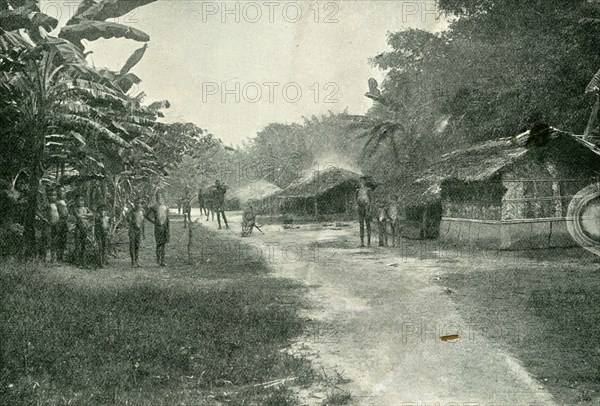 Lungundo before.... An everyday scene in the thriving rural village of Lungundo. By 1904, the village had been completely destroyed to make way for new rubber plantations under King Leopold II's terror regime. Congo Free State (Democratic Republic of Congo), circa 1903. Kindu, Maniema, Congo, Democratic Republic of, Central Africa, Africa.