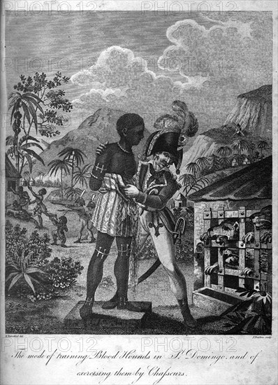 A 'chasseur' with bloodhounds. A uniformed 'chasseur' (a hunter in the French infantry) shows a Haitian captive to a cage of hungry bloodhounds during the Haitian Revolution (1791-1804). The conflict was fought between French colonialists and their Haitian slaves and established Haiti, then Saint Domingue, as a free republic. Haiti, circa 1800. Haiti, Caribbean, North America .