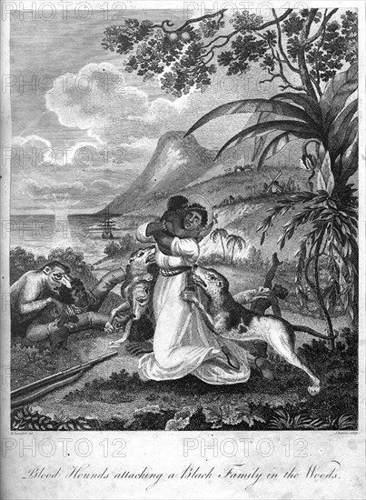 Family attacked by bloodhounds. A Haitian family is attacked by a pack of bloodhounds during the Haitian Revolution (1791-1804). The conflict was fought between French colonialists and their Haitian slaves and established Haiti, then Saint Domingue, as a free republic. Haiti, circa 1800. Haiti, Caribbean, North America .