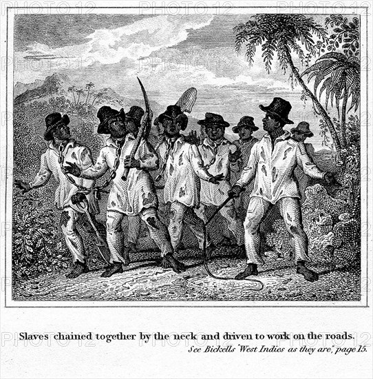 Caribbean slave gang. Several slaves are chained together by the neck in pairs and 'driven to work on the roads'. Dressed in dishevelled clothes and hats, the gang carry pickaxes and spades and are led by a fellow slave who brandishes a whip. Caribbean, circa 1825., Caribbean, North America .