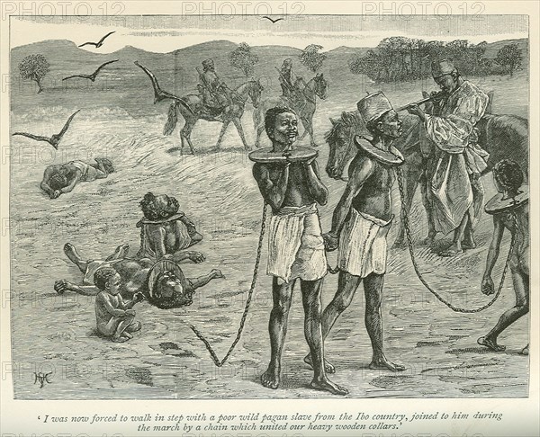 Slave gang attacked. A book illustration depicts a Sudanese slave gang, tethered together by chains that unite their wooden neck collars. Two slaves lie dead in the road, shot by their master who aims his rifle at another, ready to fire. Sudan, 1889. Sudan, Eastern Africa, Africa.