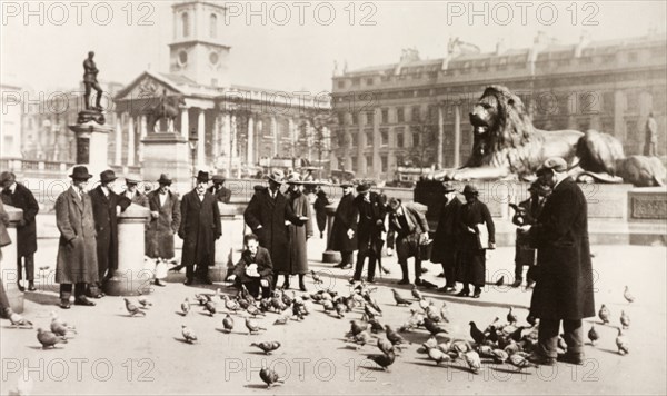 Feeding the pigeons. A crowd of people feed the pigeons in Trafalgar Square. London, England, circa 1925. London, London, City of, England (United Kingdom), Western Europe, Europe .