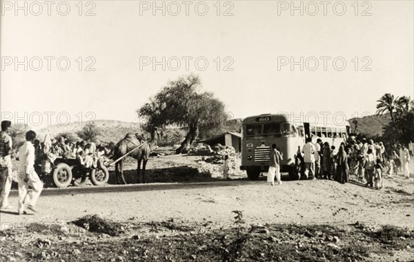 Old versus new. A camel-drawn passenger cart meets a public bus travelling in the opposite direction on a rural road. Karachi, Sind (Sindh), Pakistan, circa 1955. Karachi, Sindh, Pakistan, Southern Asia, Asia.