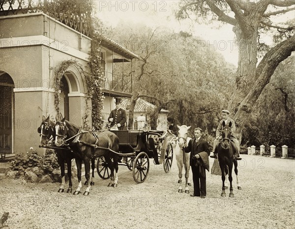 Horses at the ready. Servants wait with horses at the ready in the driveway to a large colonial house. One of several photographs taken during a royal visit to Gibraltar by King Edward VII (1841-1910) and Kaiser Wilhelm II (1859-1941), this residence may have accommodated the monarchs during their stay. Gibraltar, 1904., Gibraltar, Gibraltar, Mediterranean, Europe .