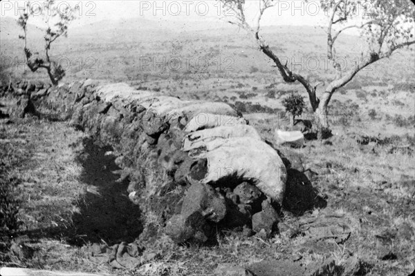 Boer trench at Hlangwani Hill. A Boer trench, used during the battle of Hlangwani Hill in the Second Boer War (1899-1902), is protected by a stone wall topped with sand bags. Natal (Kwazulu Natal), South Africa, circa 20 February 1900., KwaZulu Natal, South Africa, Southern Africa, Africa.