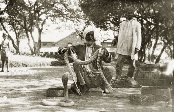 Snake charmer with a python and cobra. An Indian snake charmer squats on the ground, proudly displaying a large, striped python for the camera. A cobra sits coiled on the ground in front of him with its head raised. Hiwan, Mandi, Simla Hill States (Himachal Pradesh), India, circa 1926. Mandi, Himachal Pradesh, India, Southern Asia, Asia.