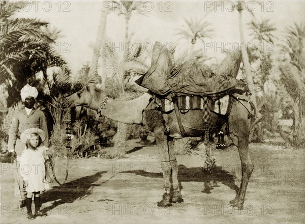 Margaret Lawrence holds the reins of a camel. Margaret Lawrence (b.1904), the daughter of Phyllis and Sir Henry Staveley Lawrence (Collector of Karachi), poses for the camera with an Indian servant as she holds the reins of a saddled camel. Karachi, India (Pakistan), circa 1910. Karachi, Sindh, Pakistan, Southern Asia, Asia.