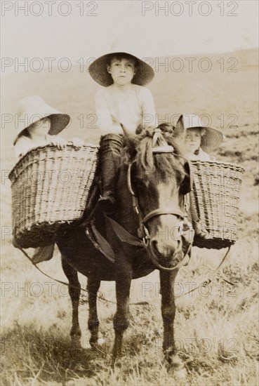 Lawrence children on a pony ride. The children of Phyllis and Sir Henry Staveley Lawrence (a British civil servant) ride a pony outdoors. George (b.1899) sits astride the pony with his younger siblings, Henry (b.1902) and Margaret (b.1904), riding in basketwork panniers on either side. Sind, India (Sindh, Pakistan), 1910., Sindh, Pakistan, Southern Asia, Asia.