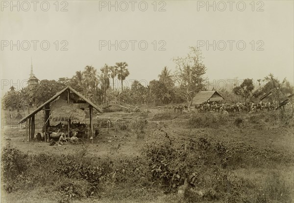 British Army camp at Sin-gon. British Army soldiers take at rest at Sin-gon. The company was involved in a campaign to suppress Burmese rebels in Wuntho State (Sagaing Division). Several of the men relax inside an open-walled dwelling, whilst a herd of unsaddled horses gathers to graze in the distance. Sin-gon, Burma (Myanmar), 1891. Sin-gon, Sagaing, Burma (Myanmar), South East Asia, Asia.