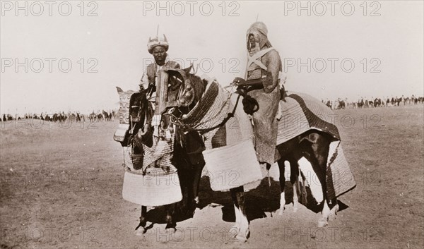Sudanese warriors on horseback. Portrait of two Sudanese warriors on horseback, positioned in front of a line of mounted cavalry on the horizon. The men are dressed in traditional warrior costume: their horses equipped with protective quilted coverings and nose guards. West Kordofan (West Kurdufan State), Sudan, circa 1910., West Kurdufan, Sudan, Eastern Africa, Africa.
