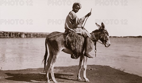 Sudanese boy on a donkey. Portrait of a Sudanese boy, sitting astride a harnessed donkey beside a tributary of the River Nile. Khartoum, Sudan, circa 1910. Khartoum, Khartoum, Sudan, Eastern Africa, Africa.