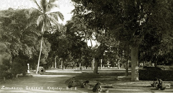 Promenade in the Zoological Gardens of Karachi. A promenade lined with trees in the Zoological Gardens of Karachi. Karachi, India (Pakistan), circa 1910. Karachi, Sindh, Pakistan, Southern Asia, Asia.