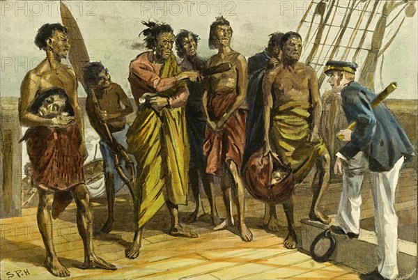 Maori head trafficking. Based on an earlier sketch by Major General H. G. Robley, this illustration taken from 'The Graphic' newspaper, circa 1930, depicts a group of Maori men attempting to sell preserved Maori heads to a European sailor on the deck of a ship. The heads, which were traded in exchange for weapons and ammunition, were prized as novelty curios in Europe for their elaborate 'ta moko' facial markings. New Zealand, circa 1825. New Zealand, New Zealand, Oceania.